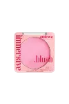 Immersive Blush 01