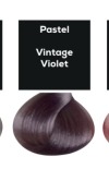 Пастель Vintage Violet