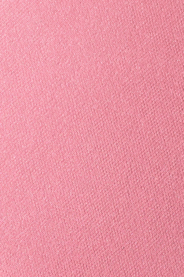 Immersive Blush 01 – рум’яна 01